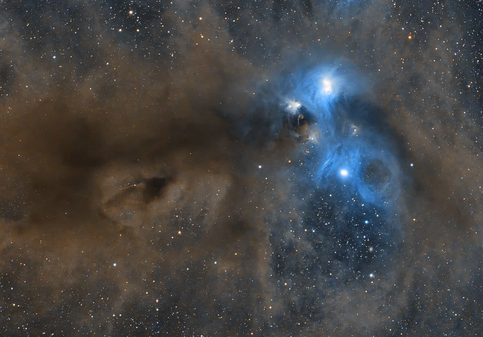 Stars and Dust across Corona Australis