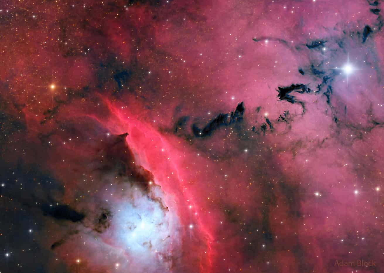 Stars, Dust and Nebula in NGC 6559