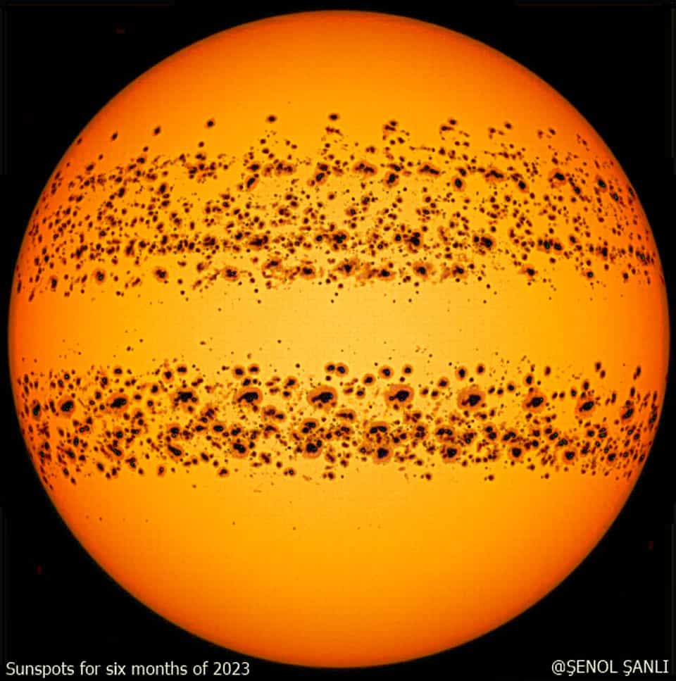 Sunspots on an Active Sun