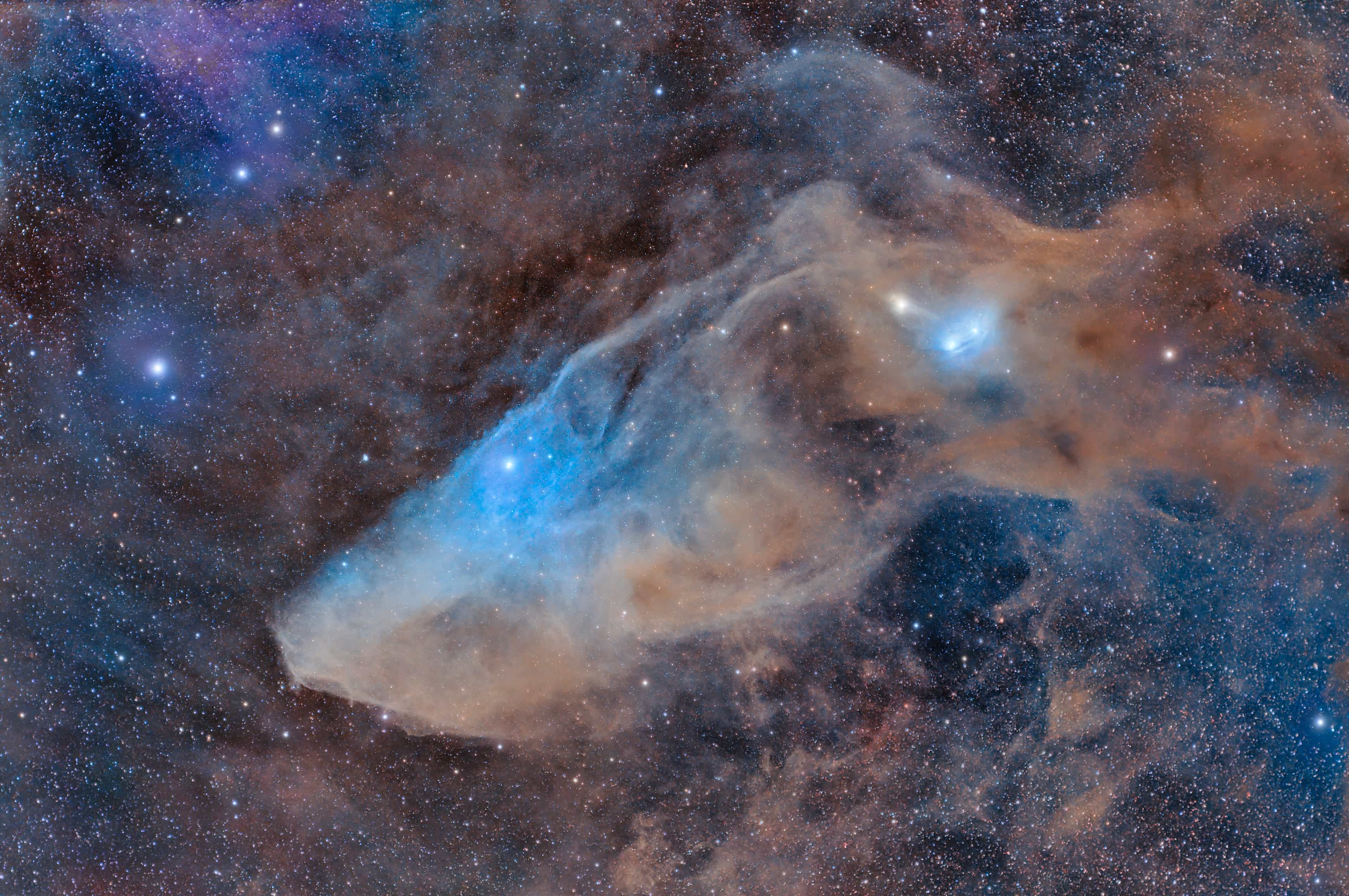 IC 4592: The Blue Horsehead Reflection Nebula