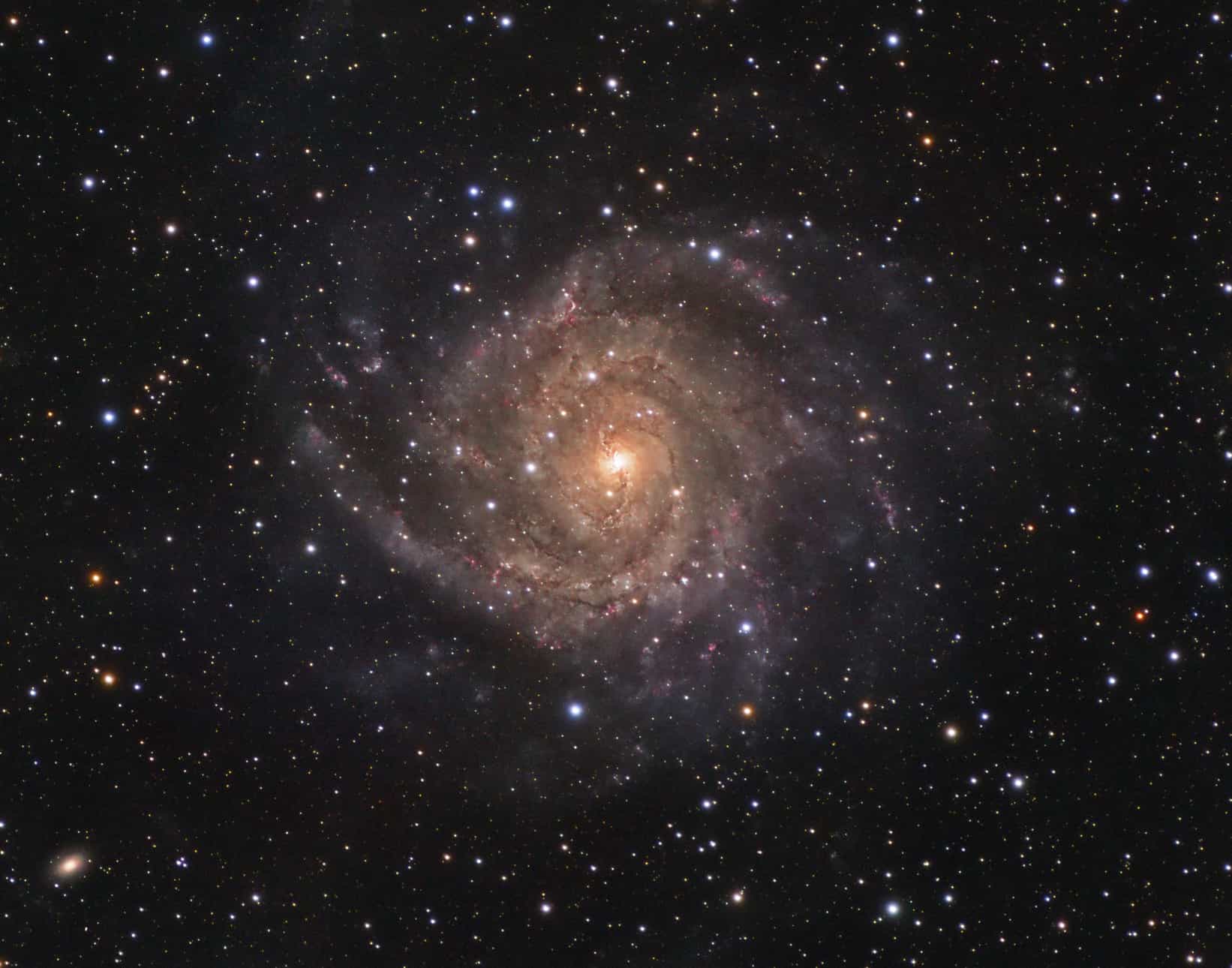 IC 342: Hidden Galaxy in Camelopardalis